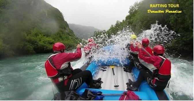 Гостевой дом Guest House Durmitor Paradise Жабляк