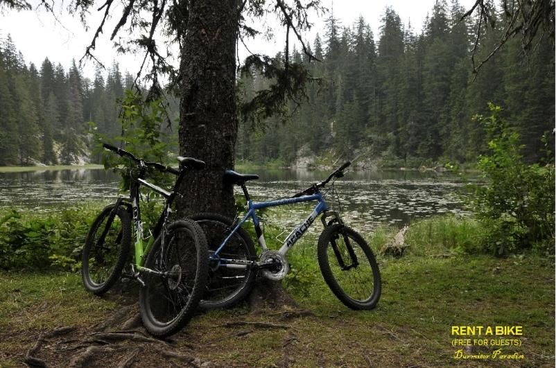 Гостевой дом Guest House Durmitor Paradise Жабляк-77