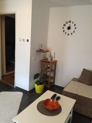 Гостевой дом Guest House Durmitor Paradise Жабляк Апартаменты с 2 спальнями-17