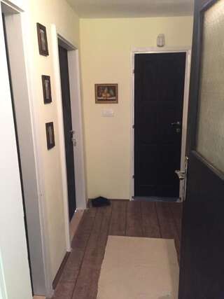 Гостевой дом Guest House Durmitor Paradise Жабляк Двухместный номер с 1 кроватью и террасой-14