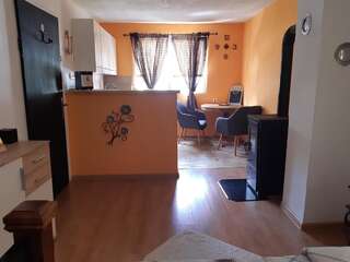 Гостевой дом Guest House Durmitor Paradise Жабляк Номер-студио-18