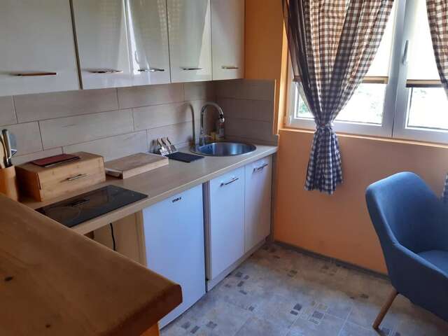 Гостевой дом Guest House Durmitor Paradise Жабляк-34