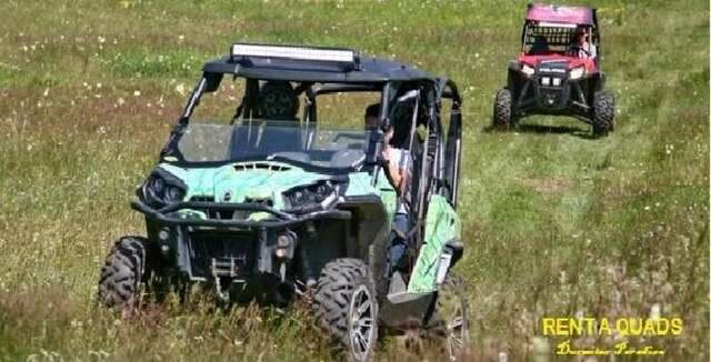 Гостевой дом Guest House Durmitor Paradise Жабляк-74